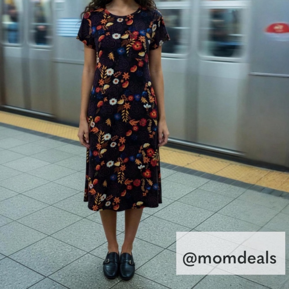 LulaRoe Carly Swing Dress with Front Pocket Loose & Relaxed Fit Stretchy XS 2-4